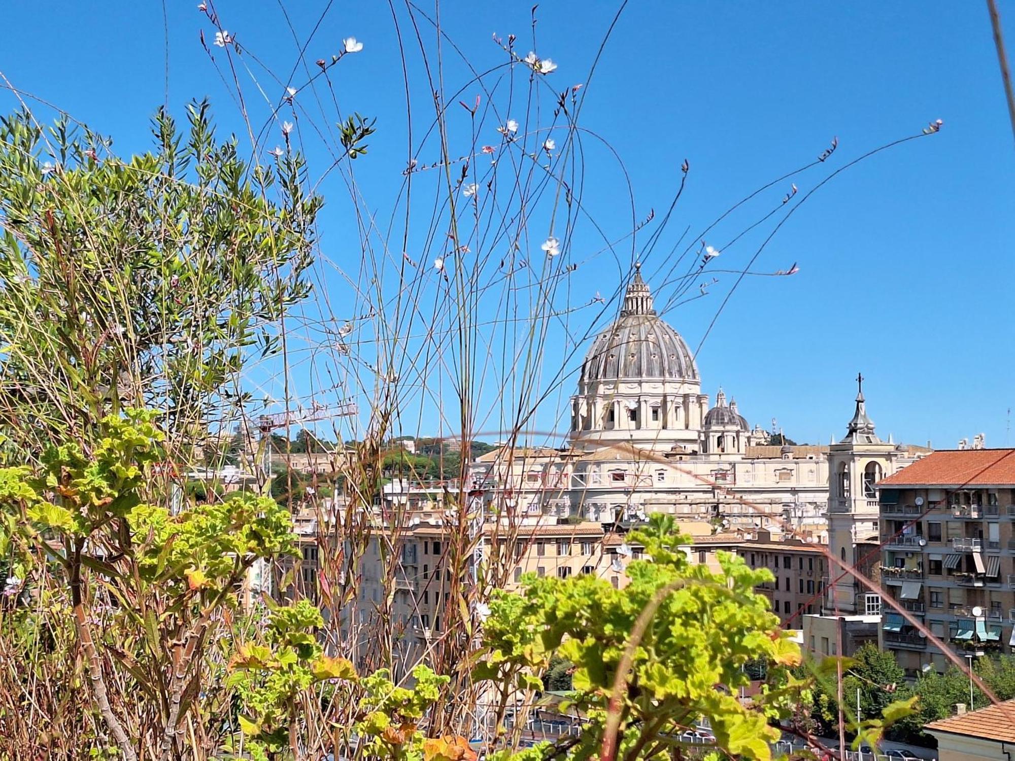 Delmirani'S Book Apartments - Vatican View Roma Exterior foto